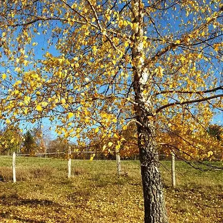 La Source De La Bruche